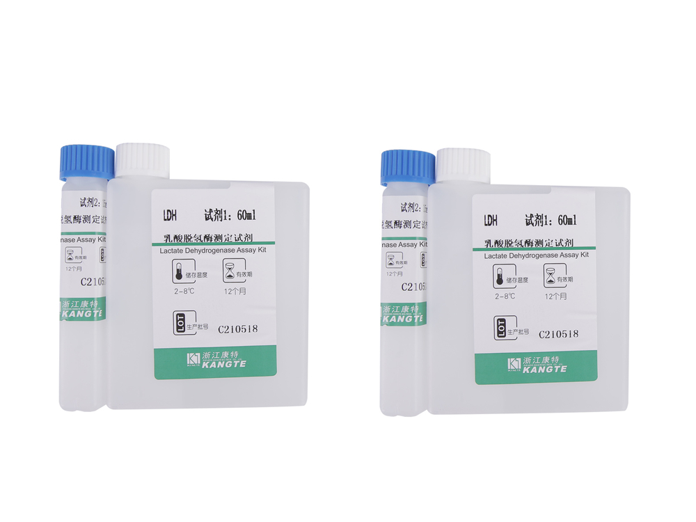 detail of 【LDH】Lactate Dehydrogenase Assay Kit (Lactate Substrate Method)