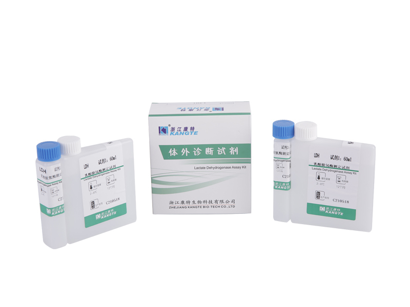 【LDH】Lactate Dehydrogenase Assay Kit (Lactate Substrate Method)
