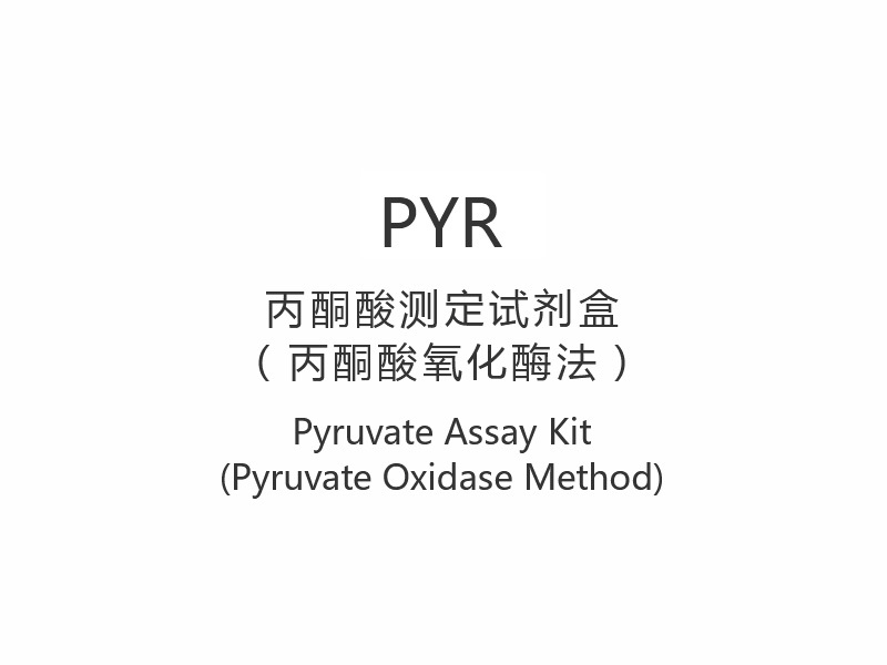 【PYR】Pyruvate Assay Kit (Pyruvate Oxidase Method)