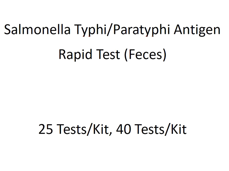 Salmonella Typhi/Paratyphi Antigen Rapid Test