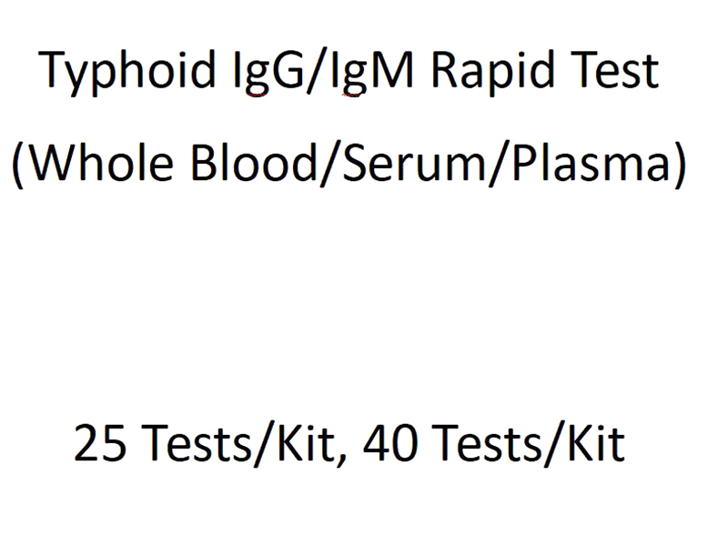 Typhoid IgG/IgM Rapid Test