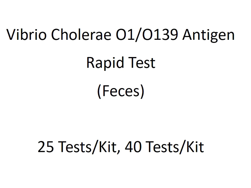 Vibrio Cholerae O1/O139 Antigen Rapid Test